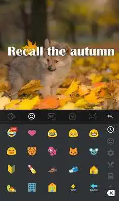 Play Recall The Autumn