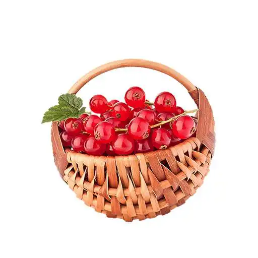 Play Red Currant Recipes APK