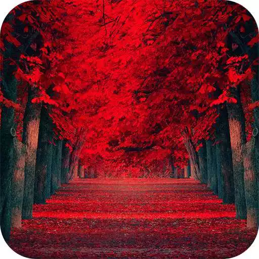 Free play online Red Leaves Live WallPaper.apk  APK