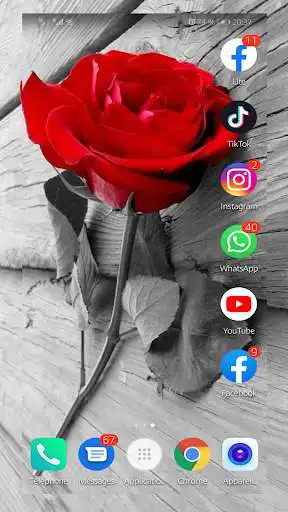 Play Red rose wallpapers FULL HD  and enjoy Red rose wallpapers FULL HD with UptoPlay