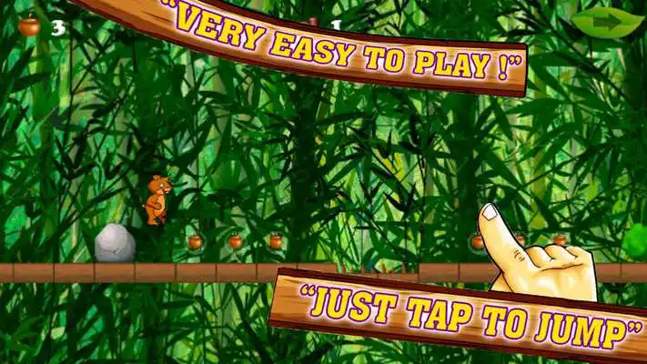 Play Red squirrel adventure