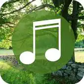 Free play online Relaxing Sounds -  Relax , Sleep  Natural Healing APK