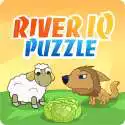 Free play online River IQ Puzzle  APK