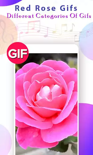 Play Rose GIF  and enjoy Rose GIF with UptoPlay