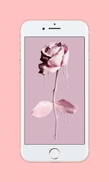 Play Rose Gold Wallpaper Phone as an online game Rose Gold Wallpaper Phone with UptoPlay