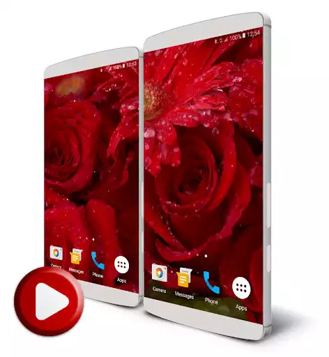 Play Rose Live Wallpaper  and enjoy Rose Live Wallpaper with UptoPlay