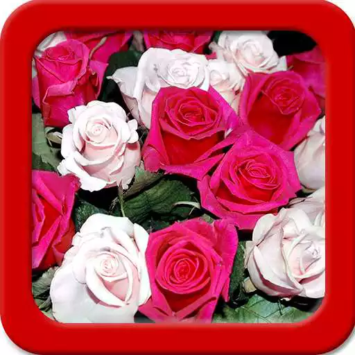 Free play online Rose Live Wallpapers APK