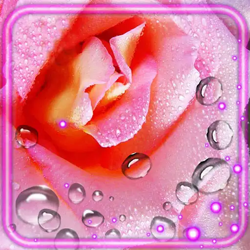 Play Roses Drops of Dew APK