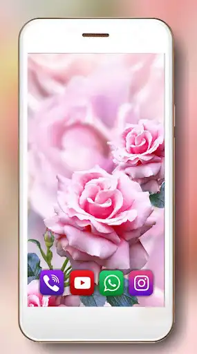 Play Roses Drops of Dew  and enjoy Roses Drops of Dew with UptoPlay