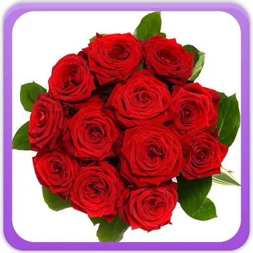 Play Roses Gallery APK