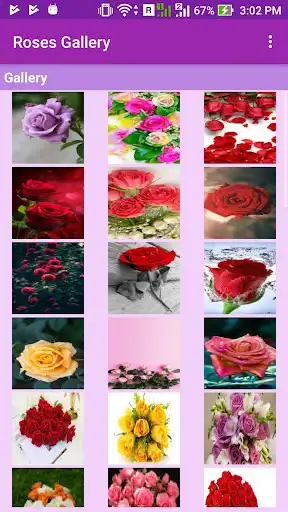 Play Roses Gallery as an online game Roses Gallery with UptoPlay