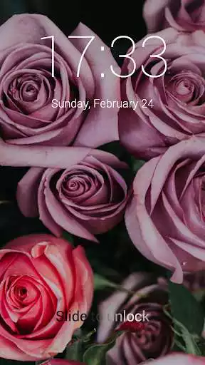 Play Roses Lock Screen