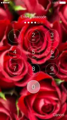 Play Roses Lock Screen