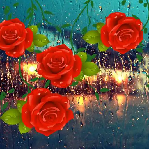 Free play online Roses Love Drops. Theme for CM Launcher  APK