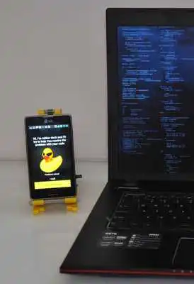 Play Rubber Duck Debugger