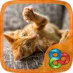 Free play online Rufous Kitty. GO Launcher EX Theme  APK