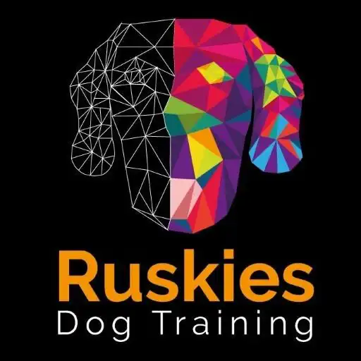 Play Ruskies Dog Training APK