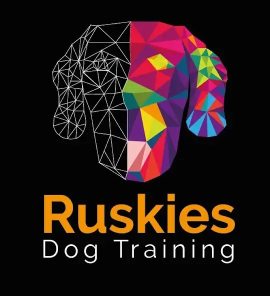 Play Ruskies Dog Training  and enjoy Ruskies Dog Training with UptoPlay