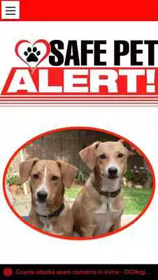 Play Safe Pet Alert