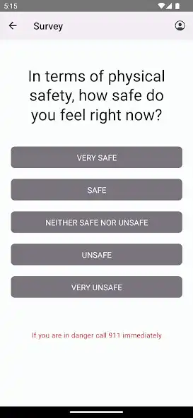 Play Safety Survey as an online game Safety Survey with UptoPlay