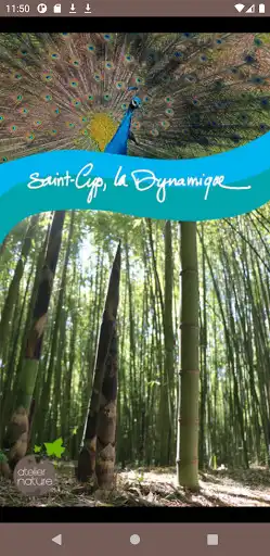 Play Saint-Cyp Aventure  and enjoy Saint-Cyp Aventure with UptoPlay