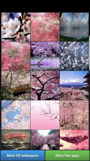 Play Sakura Cherry Blossoms HD Wall as an online game Sakura Cherry Blossoms HD Wall with UptoPlay