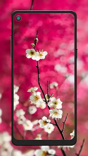 Play Sakura Flowers Wallpaper as an online game Sakura Flowers Wallpaper with UptoPlay