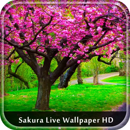 Play Sakura Live Wallpaper HD APK