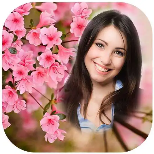 Play Sakura Photo Frames APK