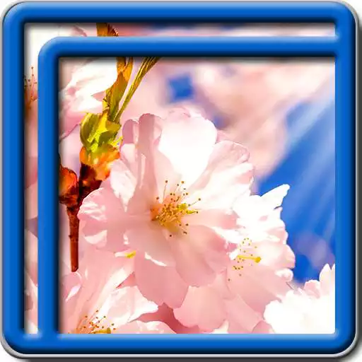 Free play online Sakura Tree Live Wallpapers  APK