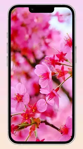 Play Sakura Wallpaper as an online game Sakura Wallpaper with UptoPlay