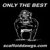 Free play online Scaffold Dawgs APK