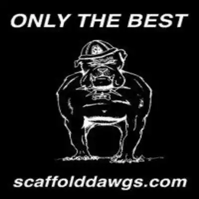 Play Scaffold Dawgs