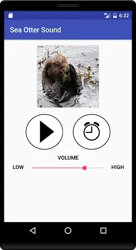 Play Sea Otter Sound  and enjoy Sea Otter Sound with UptoPlay