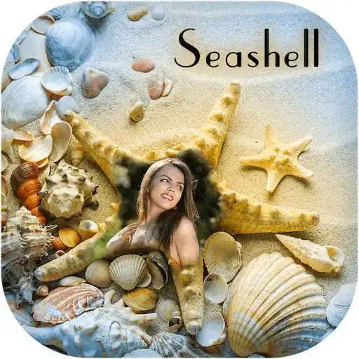 Free play online Sea Shell Photo Frame APK