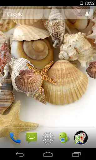 Play Sea shells Live Wallpaper