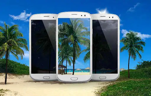 Play Seashore Palms Live Wallpaper  and enjoy Seashore Palms Live Wallpaper with UptoPlay