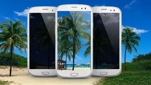 Play Seashore Palms Live Wallpaper as an online game Seashore Palms Live Wallpaper with UptoPlay