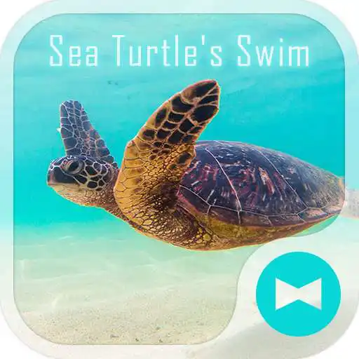 Free play online Sea Turtles Swim +HOME Theme APK