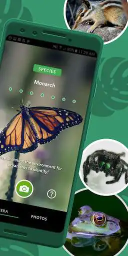 Play Seek by iNaturalist as an online game Seek by iNaturalist with UptoPlay