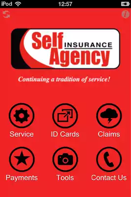 Play Self Insurance Agency