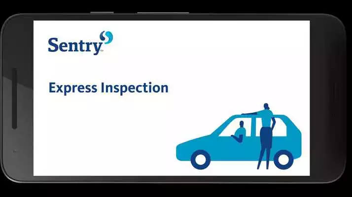 Play Sentry Express Inspection