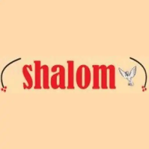 Play Shalom Sappemeer APK