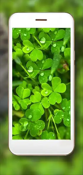 Play Shamrock Wallpaper  and enjoy Shamrock Wallpaper with UptoPlay