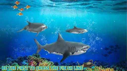 Play Shark Beasts Water Racing