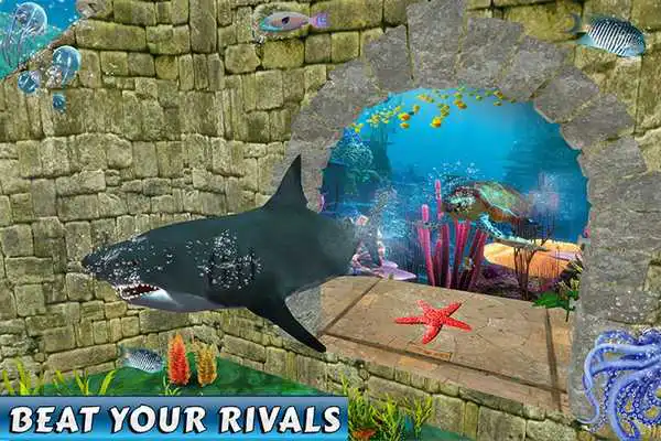 Play Shark Beasts Water Racing