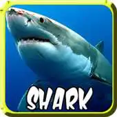 Free play online Shark Bite Attack APK