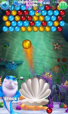 Play Shark Bubble