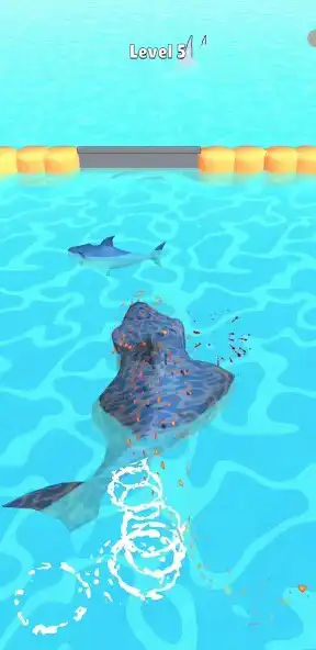 Play Shark Evolve as an online game Shark Evolve with UptoPlay