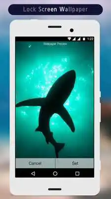 Play Shark Lock Screen